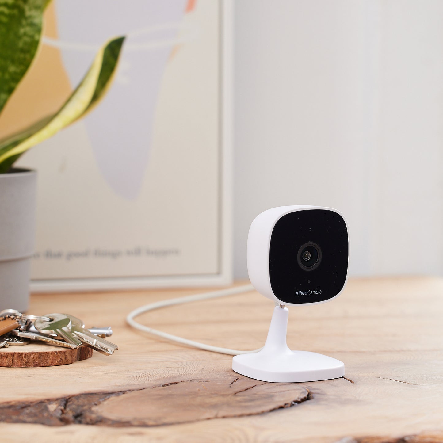 AlfredCam - Home Security Camera